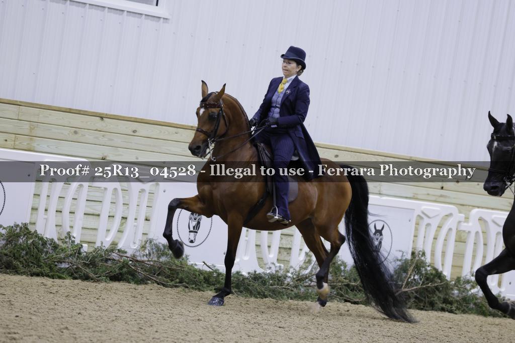 Proof 25R13_04528