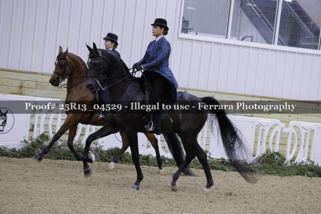 Proof 25R13_04529