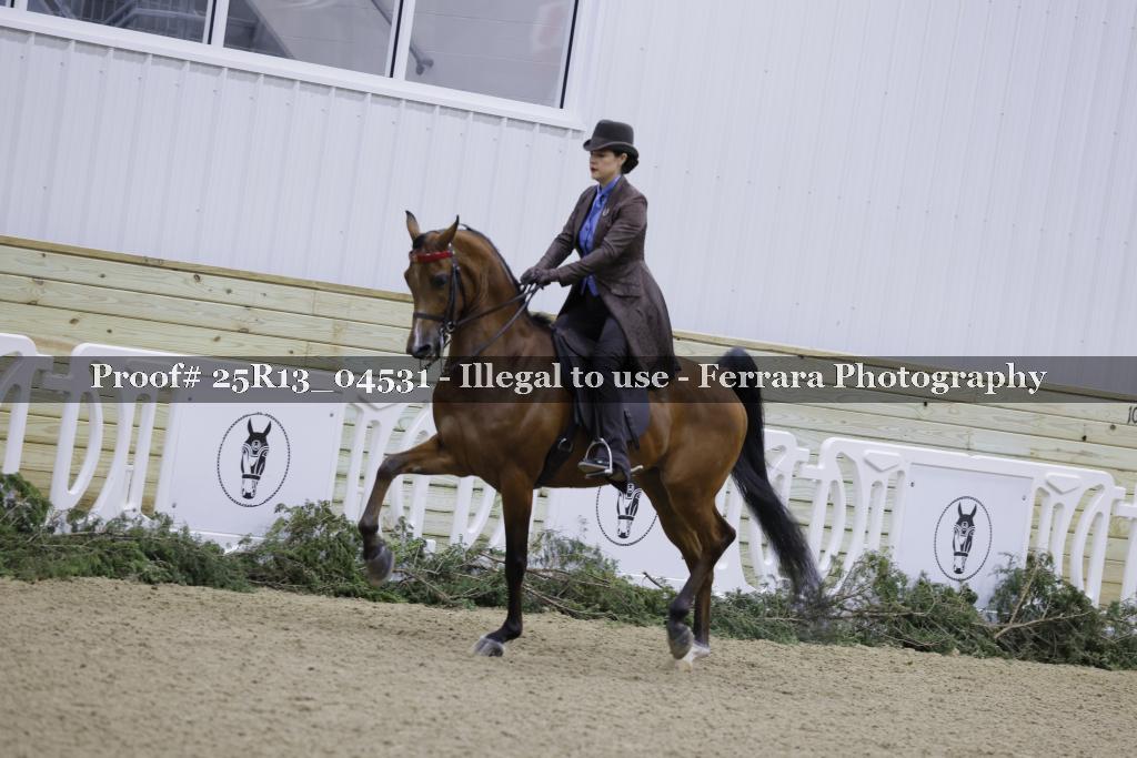 Proof 25R13_04531