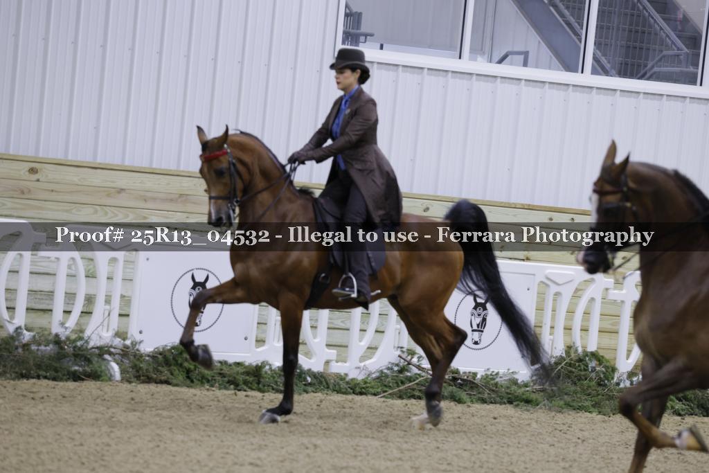 Proof 25R13_04532