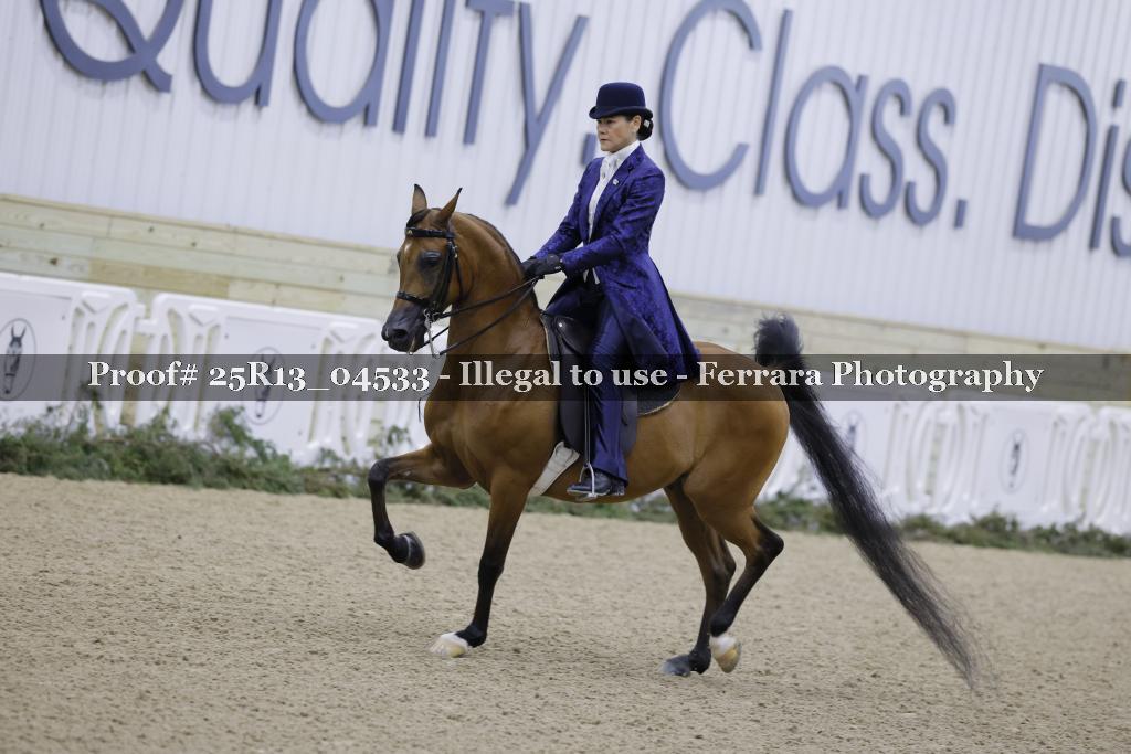 Proof 25R13_04533