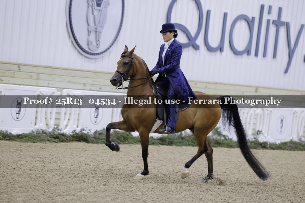 Proof 25R13_04534