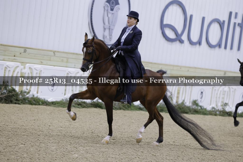 Proof 25R13_04535