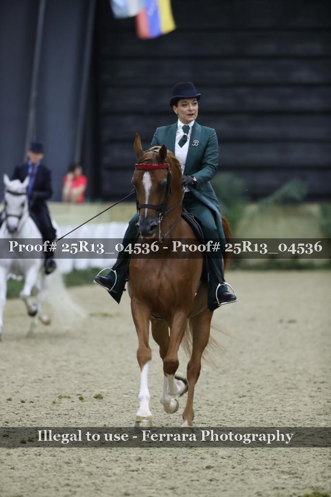 Proof 25R13_04536