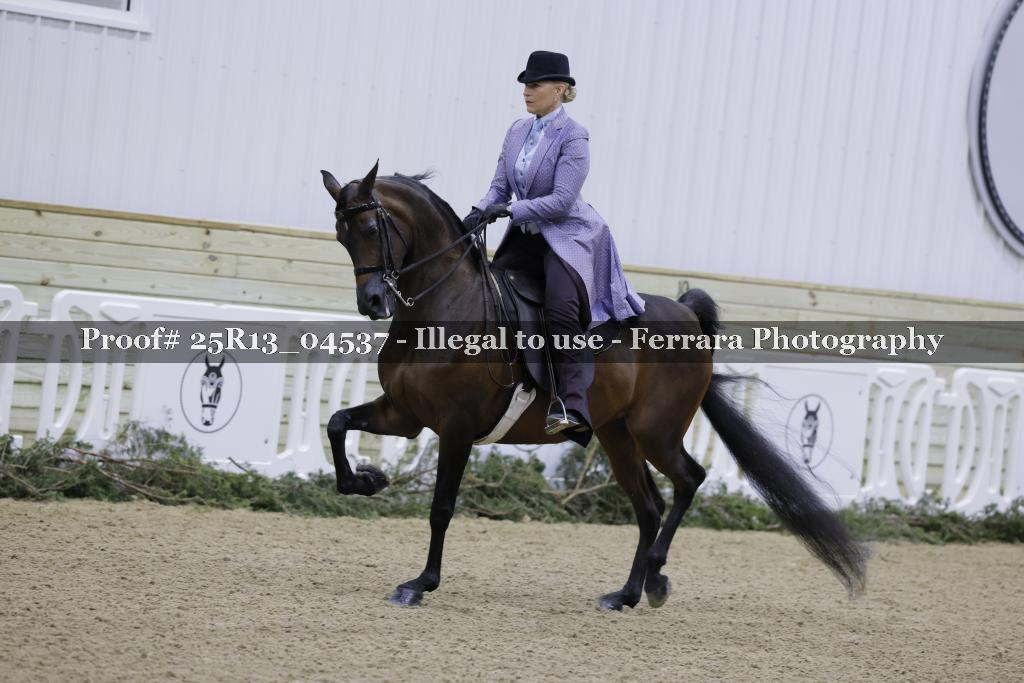 Proof 25R13_04537