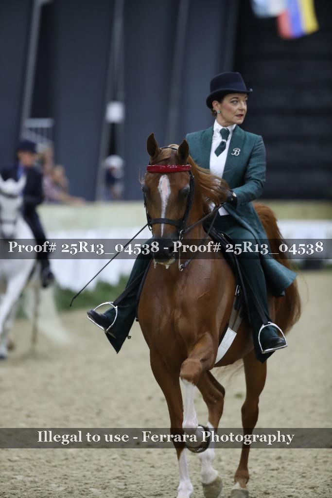 Proof 25R13_04538