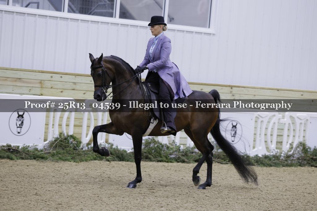 Proof 25R13_04539