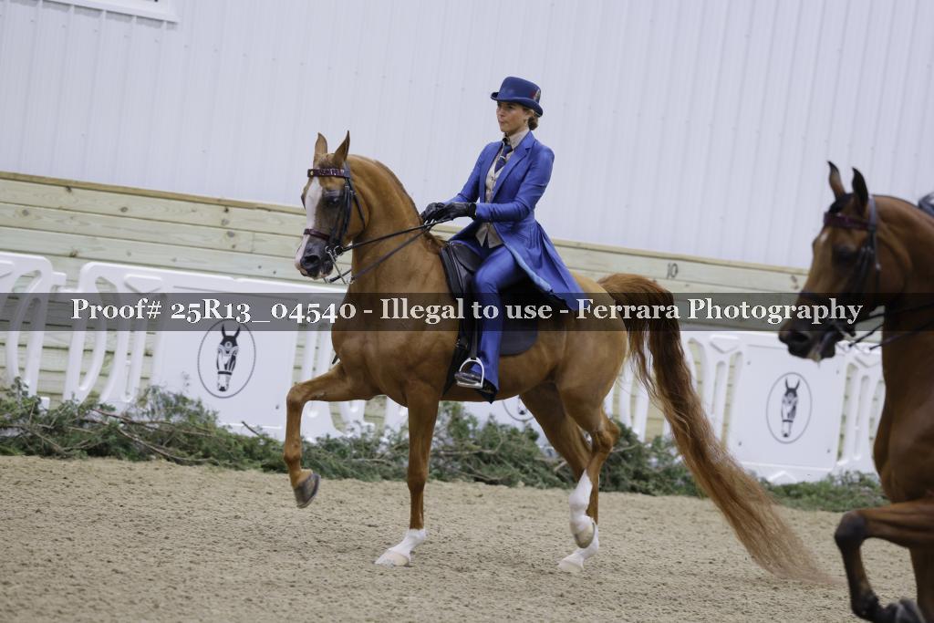 Proof 25R13_04540