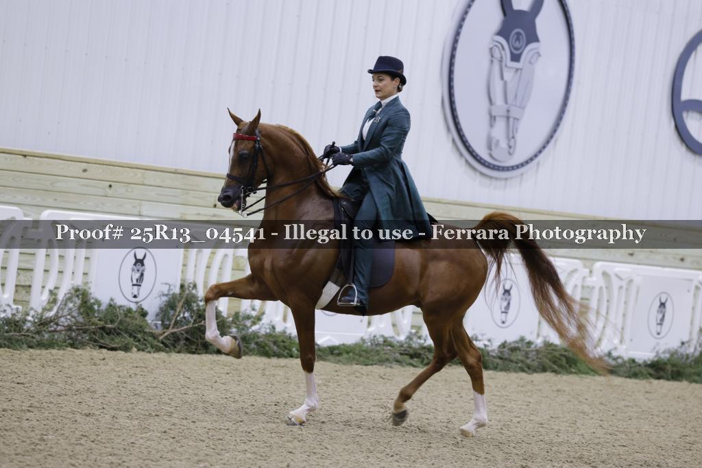 Proof 25R13_04541