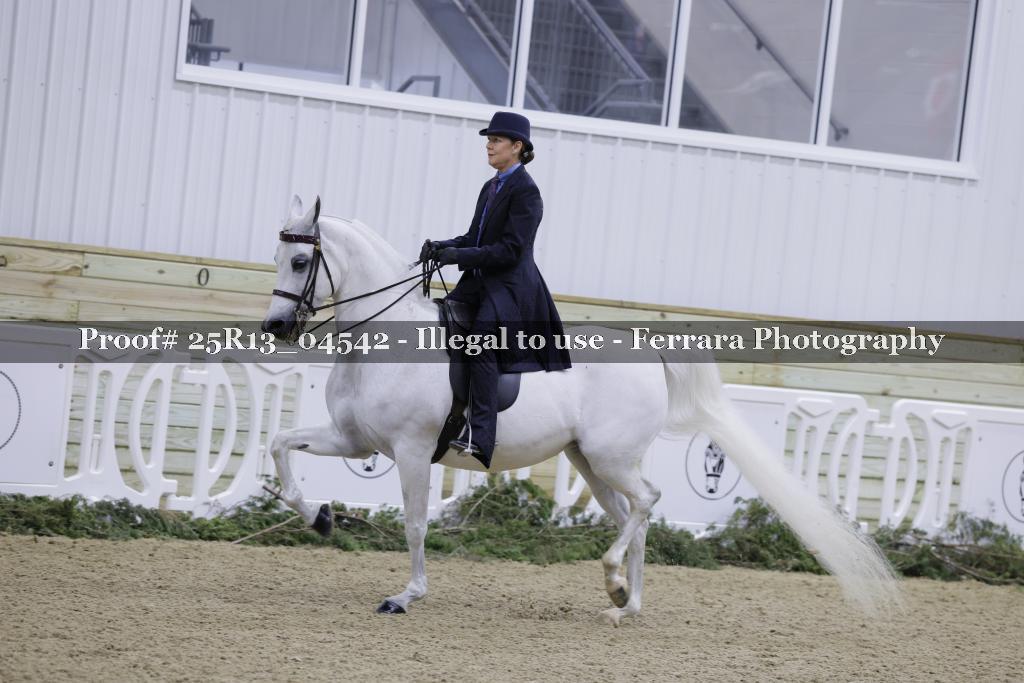 Proof 25R13_04542