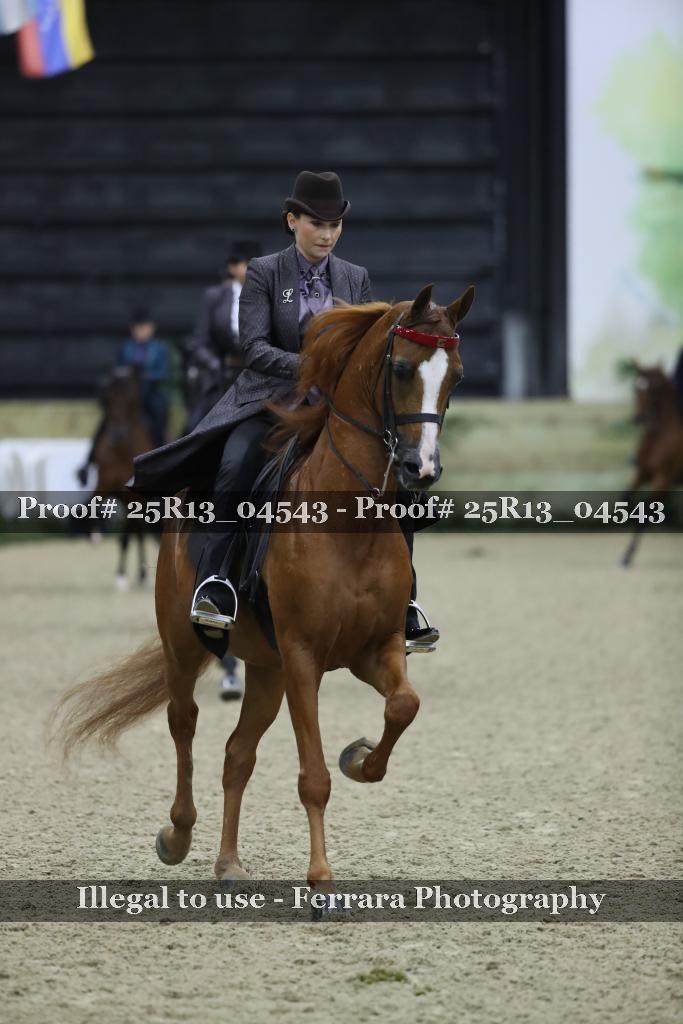Proof 25R13_04543
