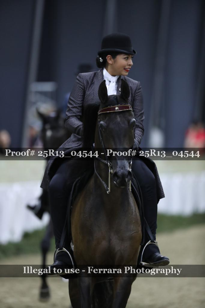 Proof 25R13_04544