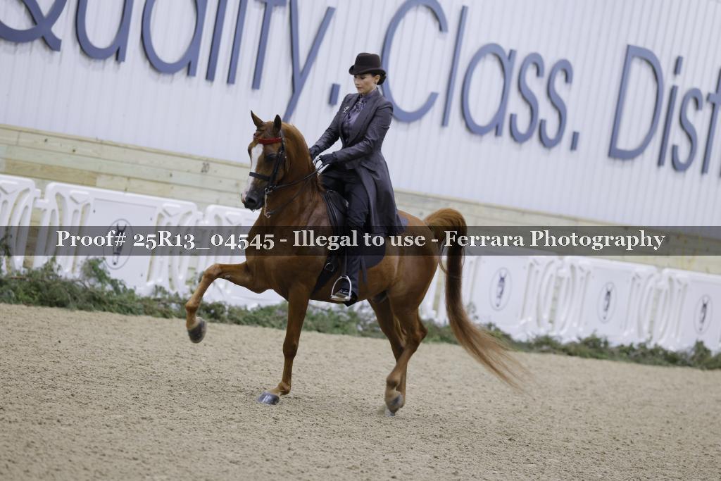 Proof 25R13_04545
