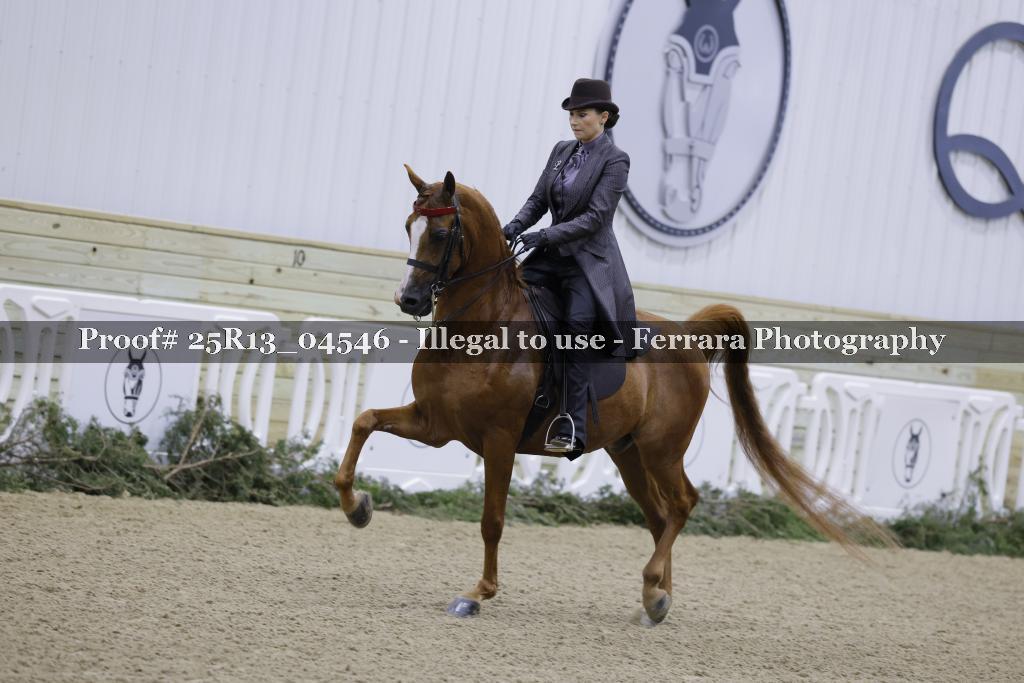 Proof 25R13_04546