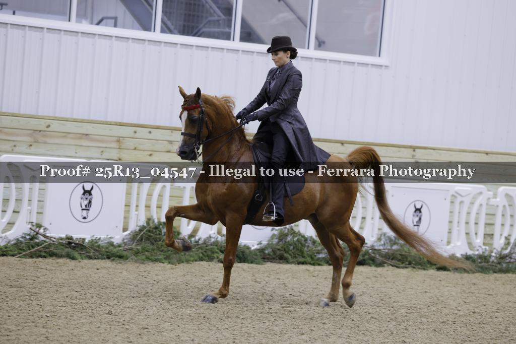 Proof 25R13_04547