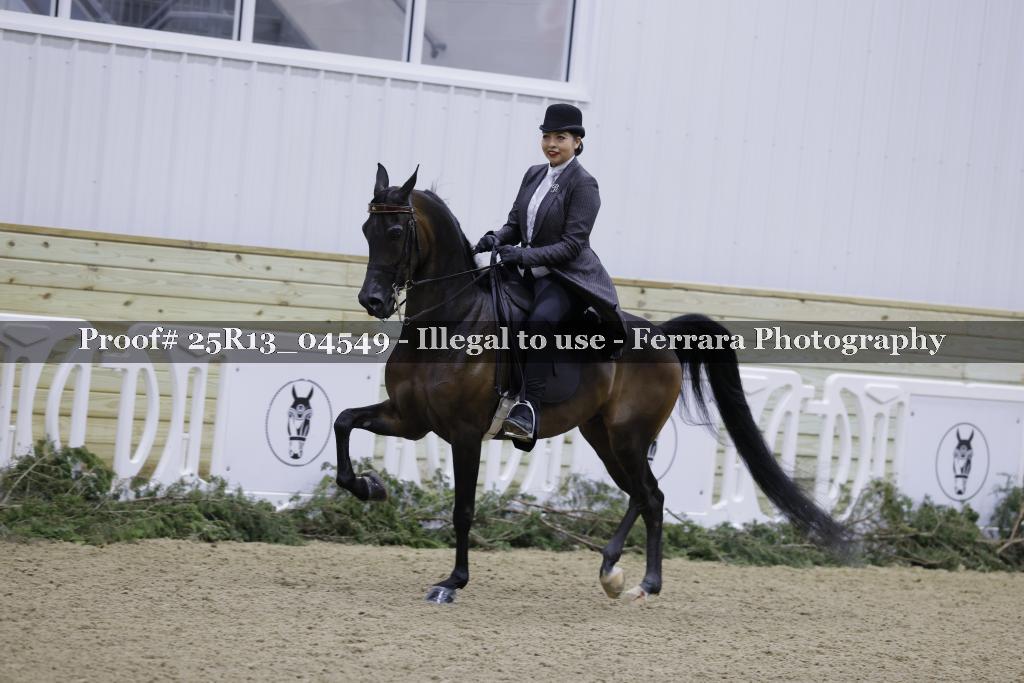 Proof 25R13_04549
