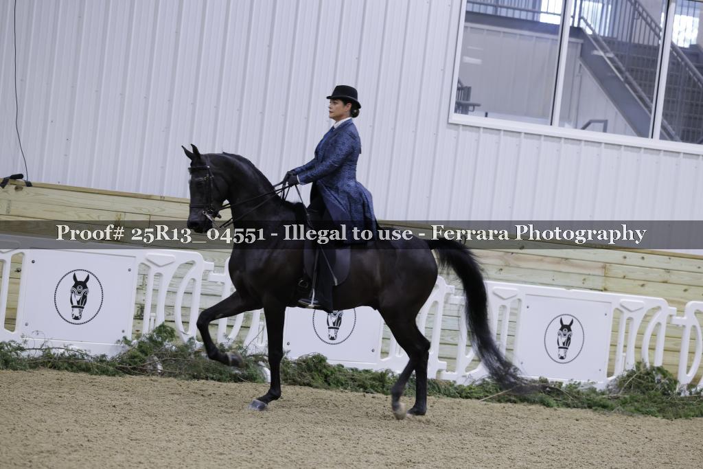 Proof 25R13_04551