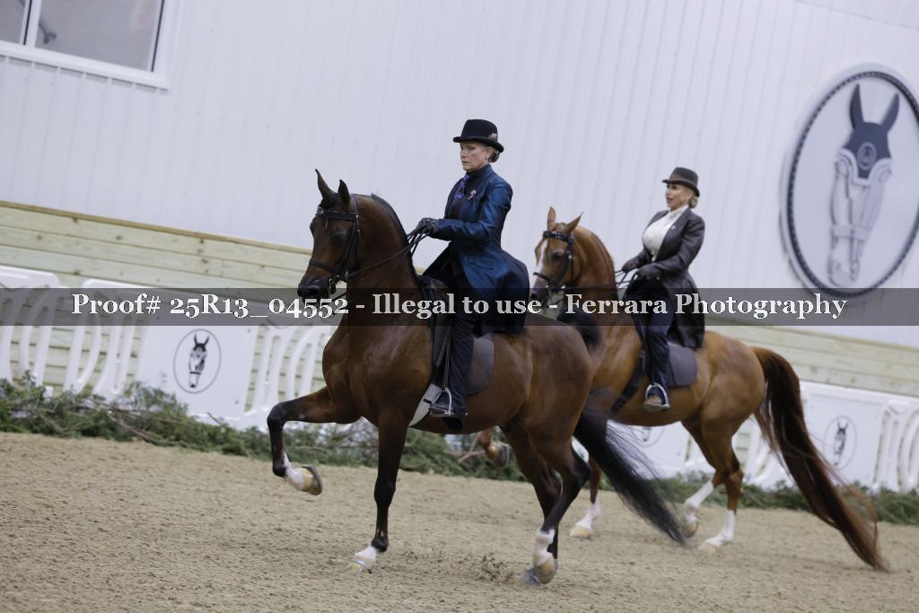 Proof 25R13_04552