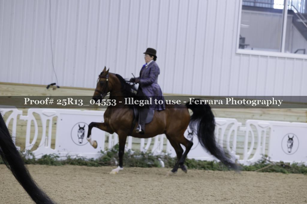 Proof 25R13_04553
