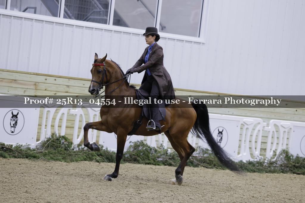 Proof 25R13_04554