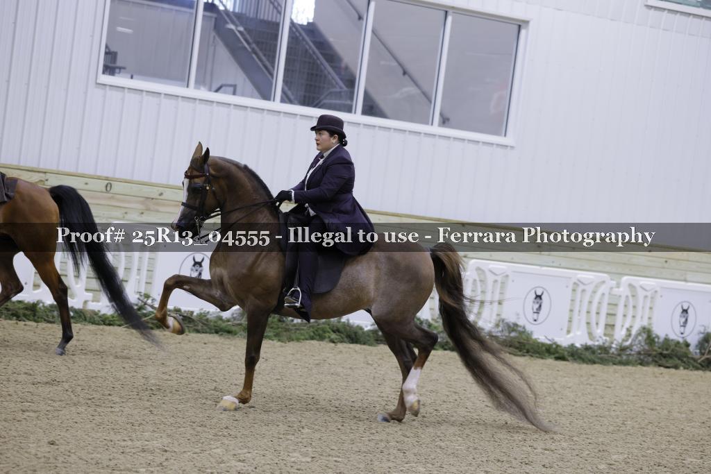 Proof 25R13_04555