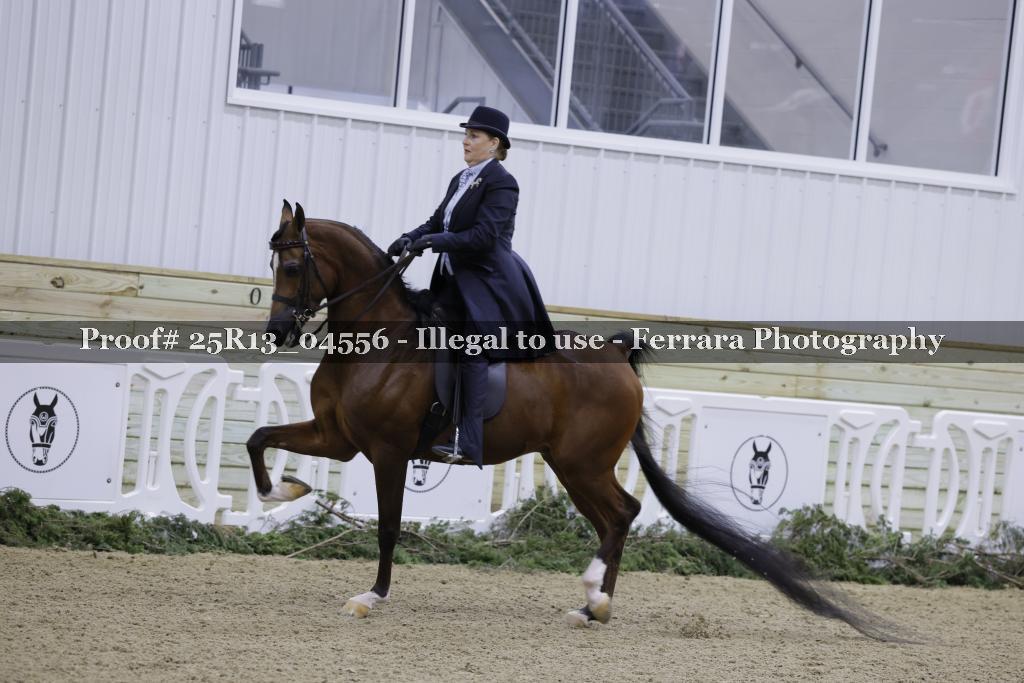 Proof 25R13_04556