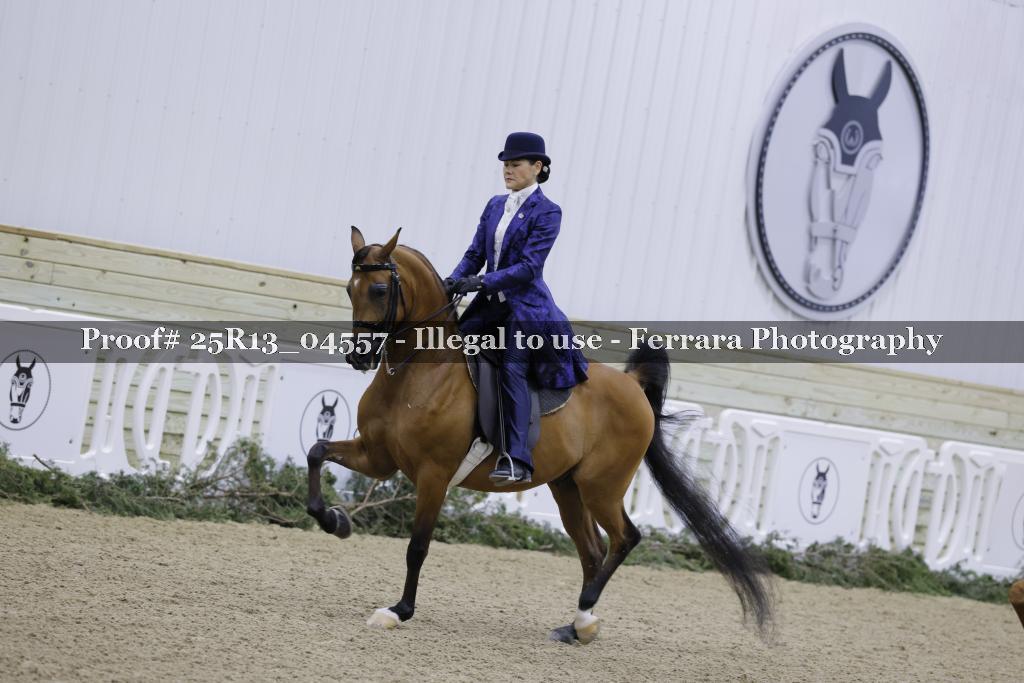 Proof 25R13_04557