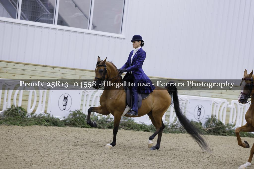 Proof 25R13_04558