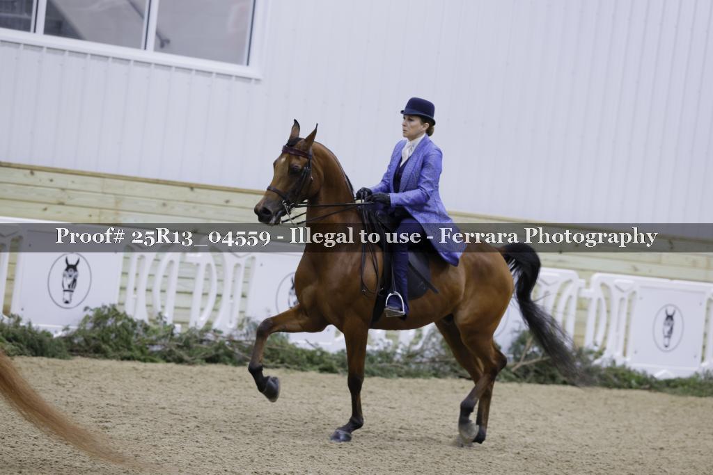 Proof 25R13_04559