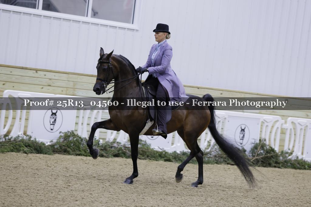 Proof 25R13_04560