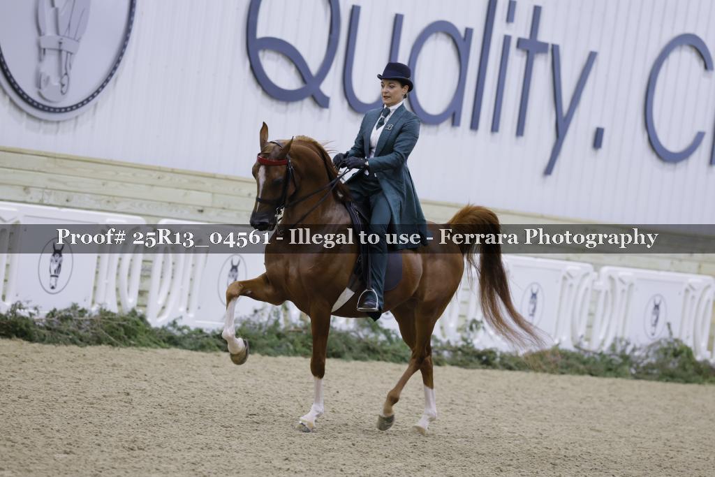 Proof 25R13_04561