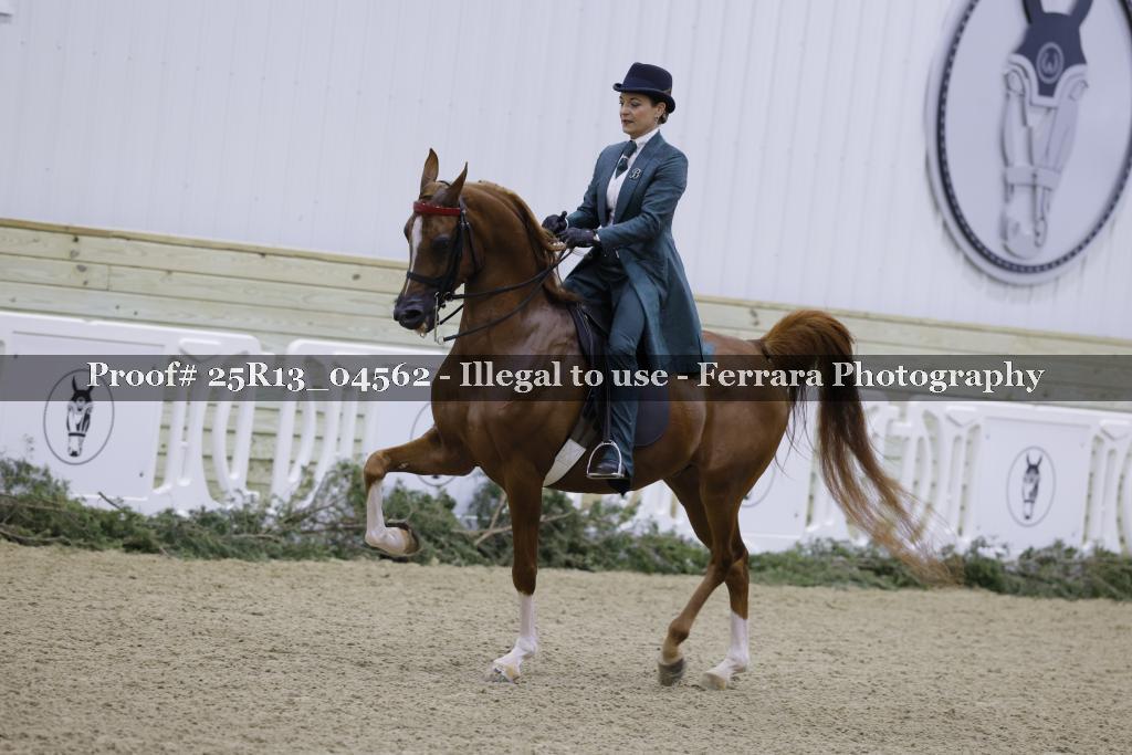 Proof 25R13_04562