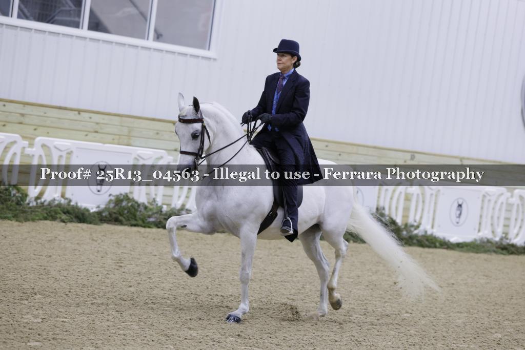 Proof 25R13_04563