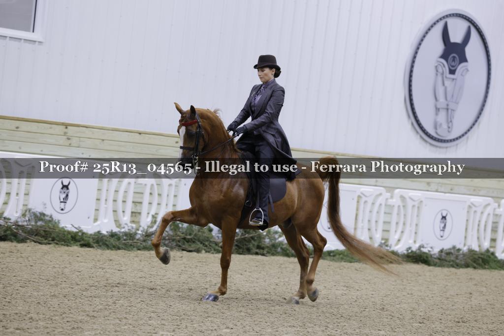 Proof 25R13_04565