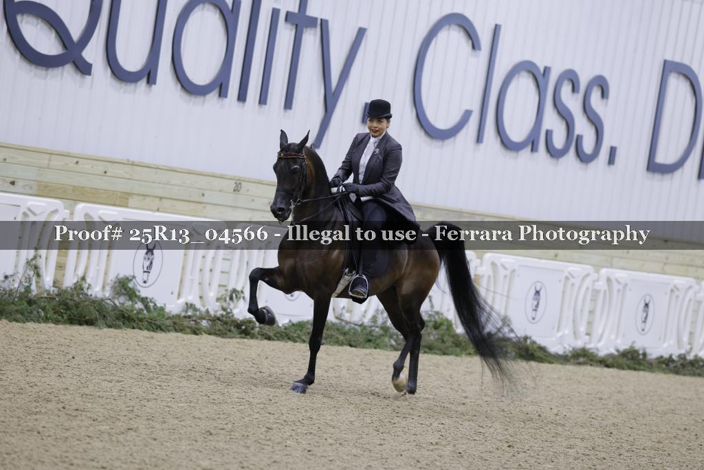 Proof 25R13_04566