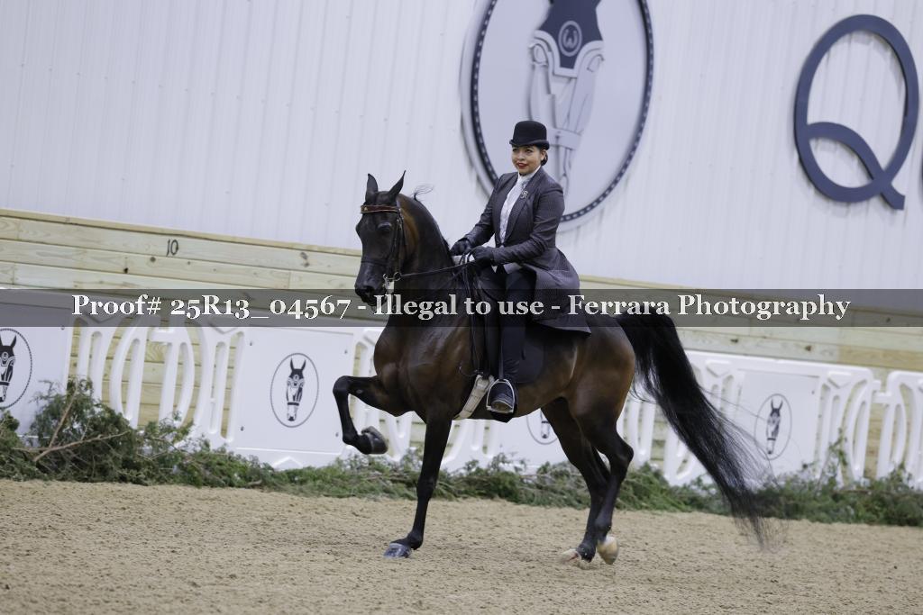 Proof 25R13_04567