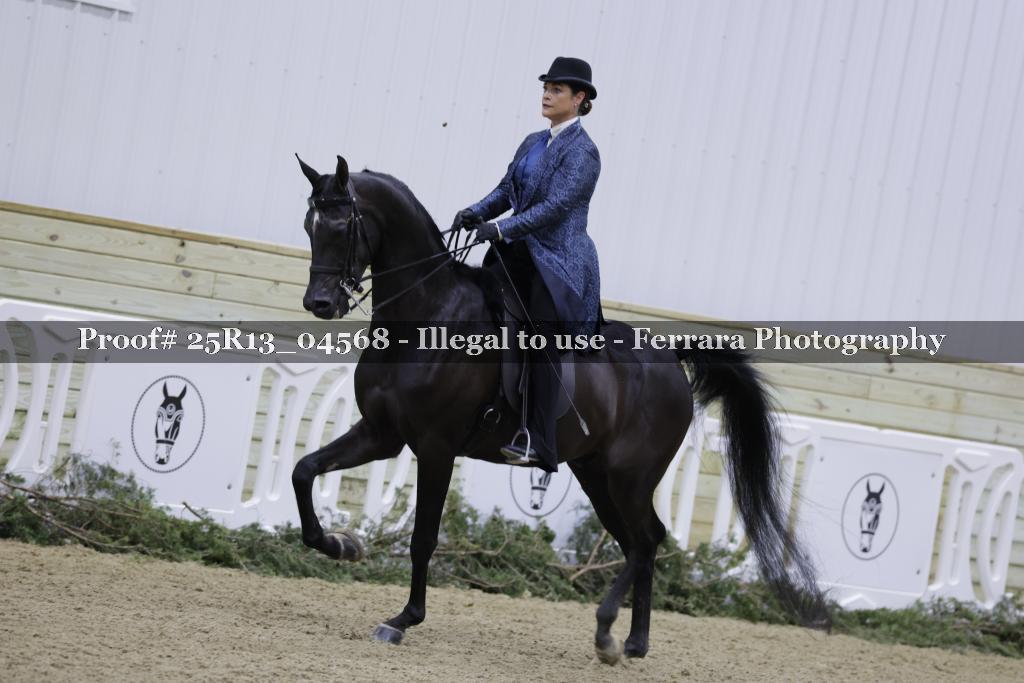 Proof 25R13_04568