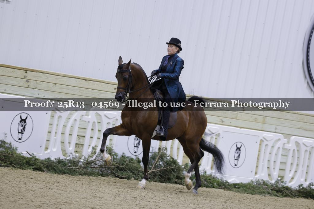 Proof 25R13_04569