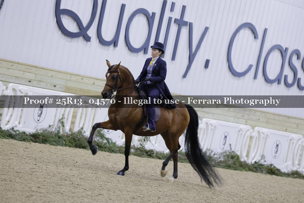 Proof 25R13_04570