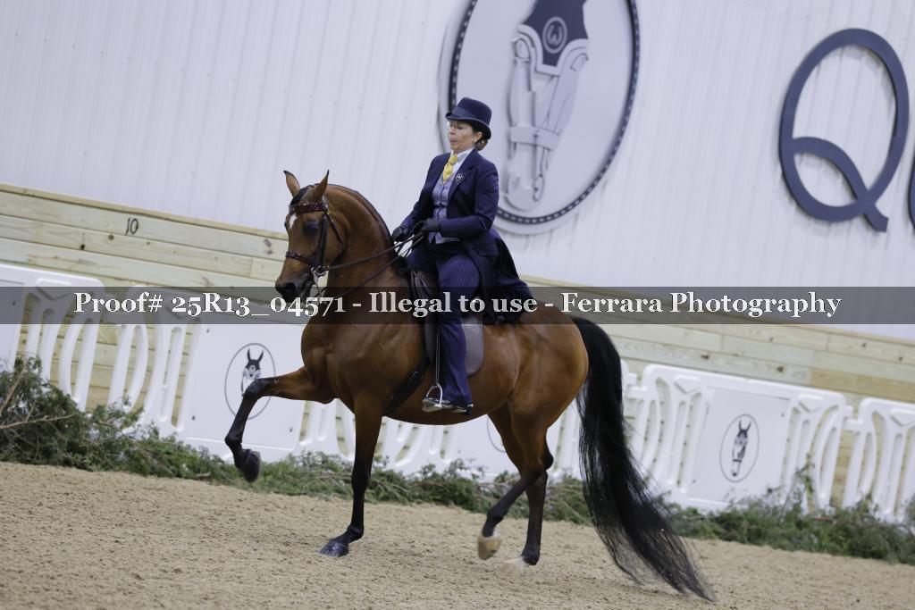 Proof 25R13_04571