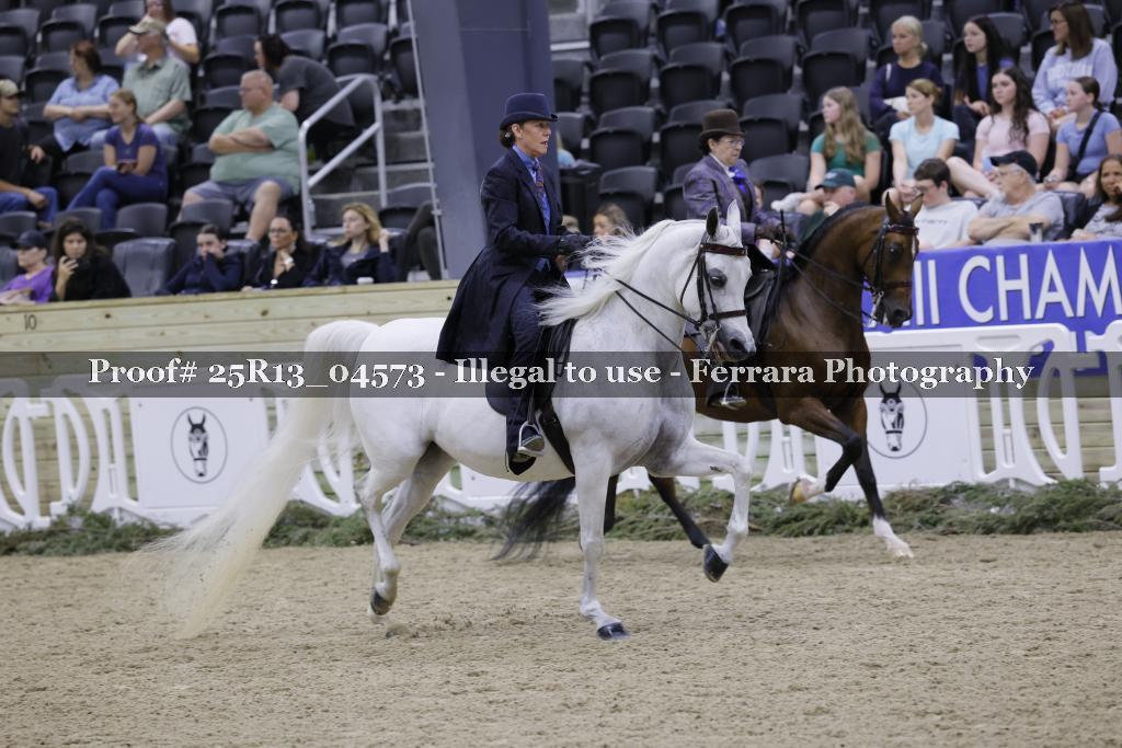 Proof 25R13_04573