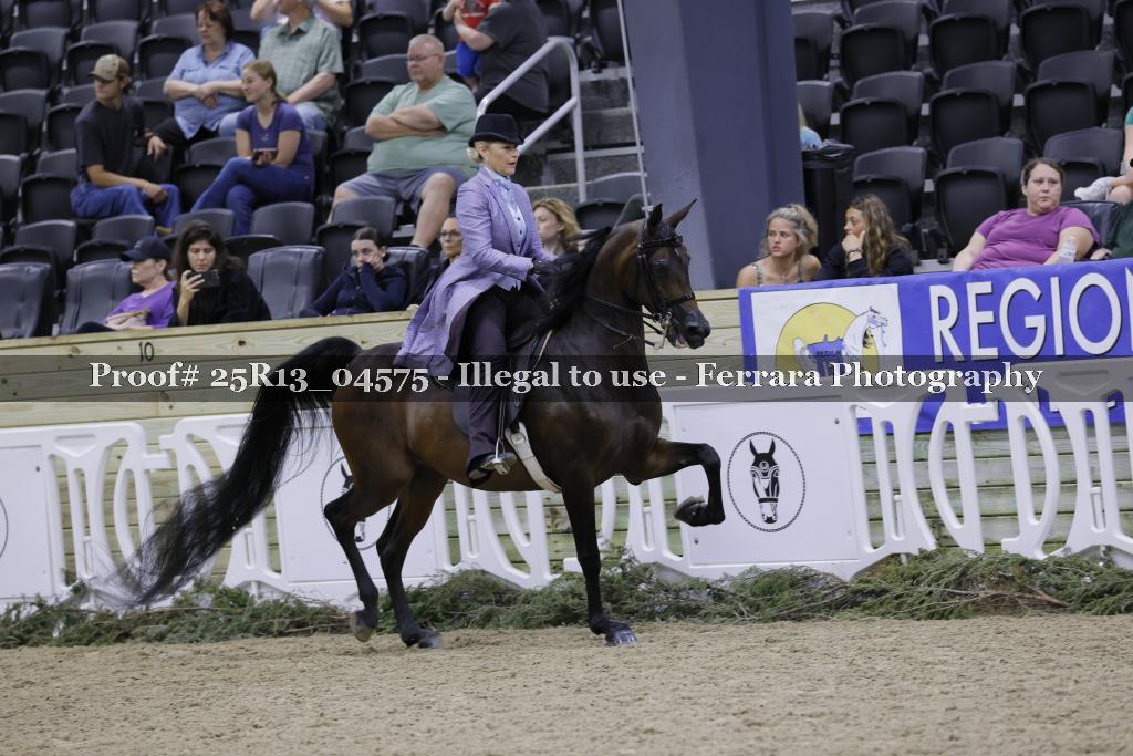 Proof 25R13_04575