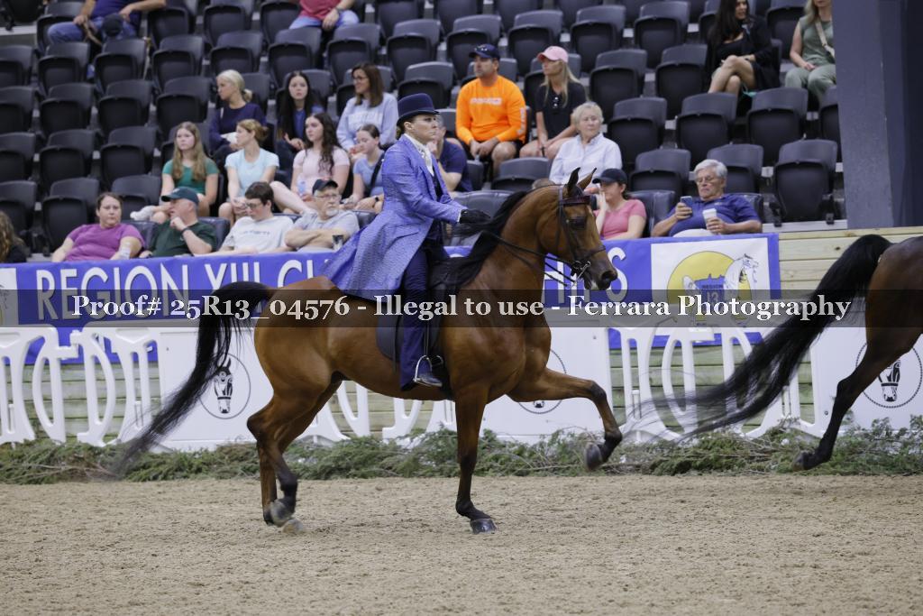 Proof 25R13_04576