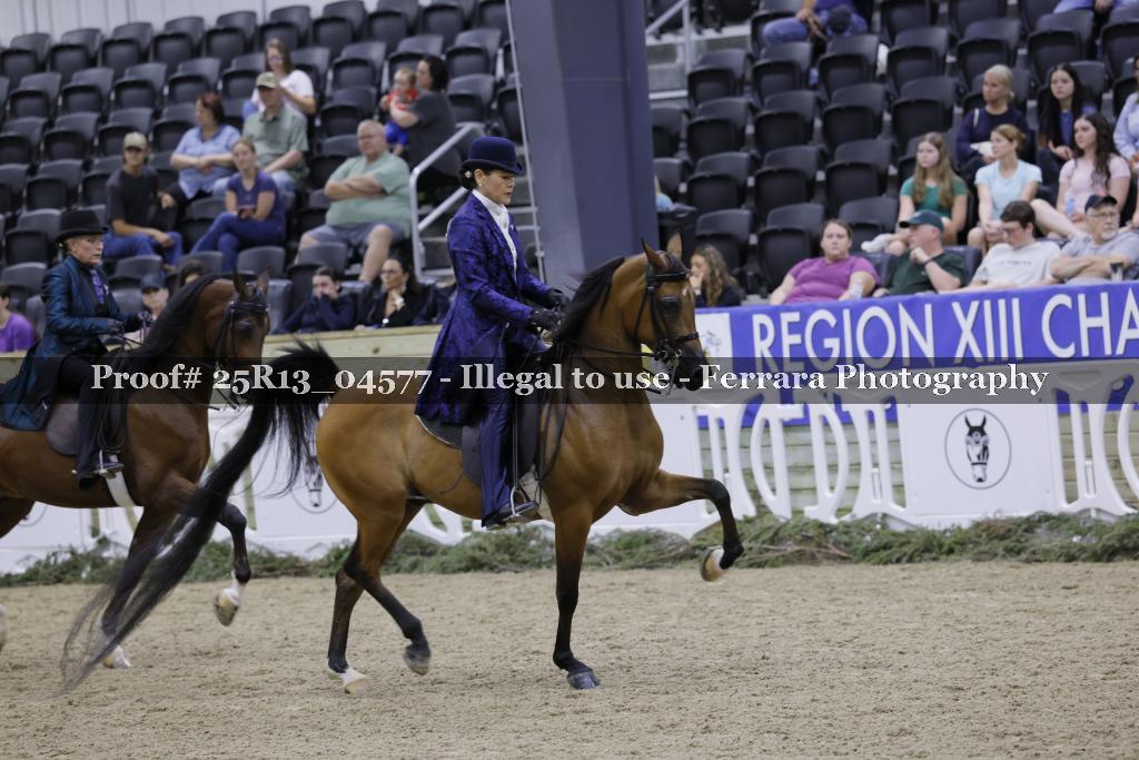 Proof 25R13_04577