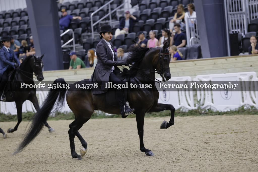 Proof 25R13_04578