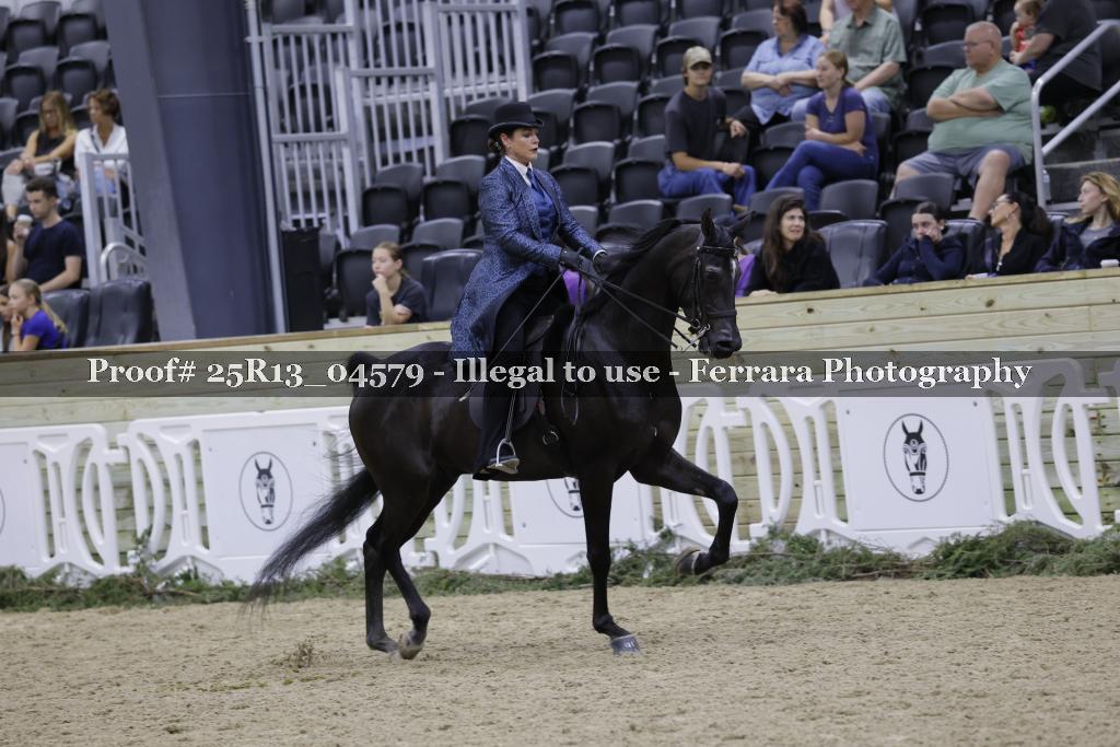 Proof 25R13_04579