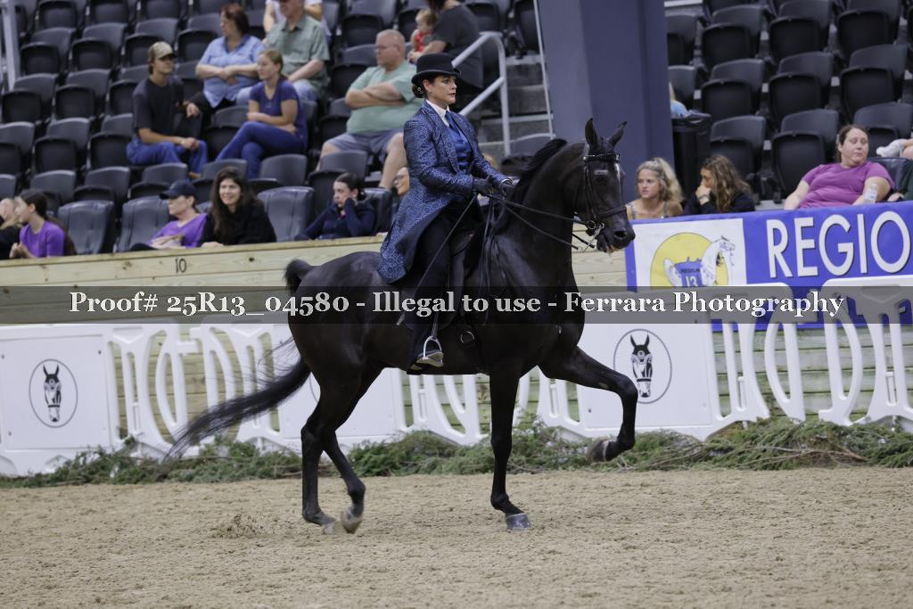 Proof 25R13_04580