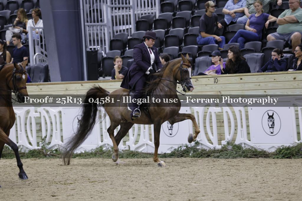 Proof 25R13_04581