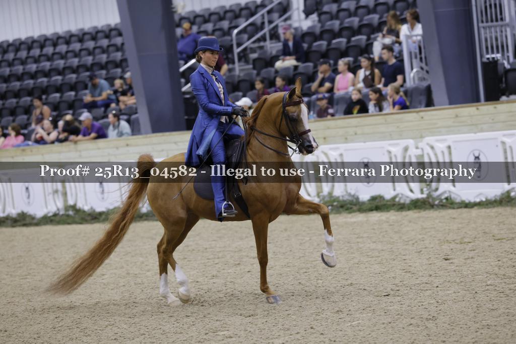 Proof 25R13_04582