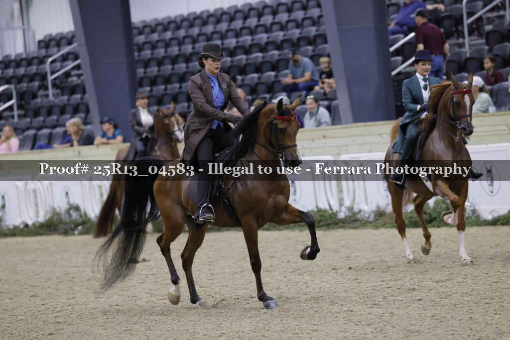 Proof 25R13_04583